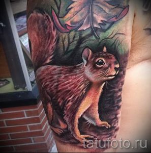 фото тату белка для статьи про значение татуировки с белкой - tatufoto.ru - 69