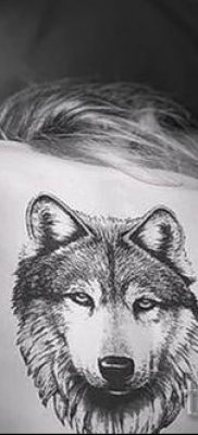 фото тату волчица для статьи про значение татуировки волчица — tatufoto.ru — 2