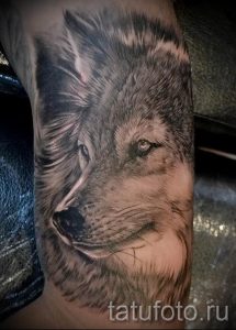 фото тату волчица для статьи про значение татуировки волчица - tatufoto.ru - 14