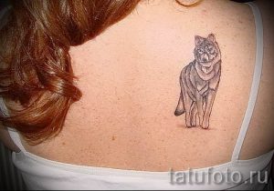 фото тату волчица для статьи про значение татуировки волчица - tatufoto.ru - 20