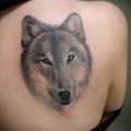 фото тату волчица для статьи про значение татуировки волчица - tatufoto.ru - 32фото тату волчица для статьи про значение татуировки волчица - tatufoto.ru - 32