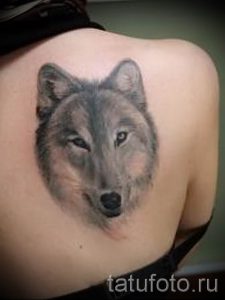 фото тату волчица для статьи про значение татуировки волчица - tatufoto.ru - 32фото тату волчица для статьи про значение татуировки волчица - tatufoto.ru - 32