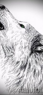 фото тату воющий волк для статьи про значение тату воющий волк — tatufoto.ru — 5