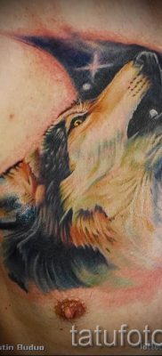 фото тату воющий волк для статьи про значение тату воющий волк — tatufoto.ru — 30