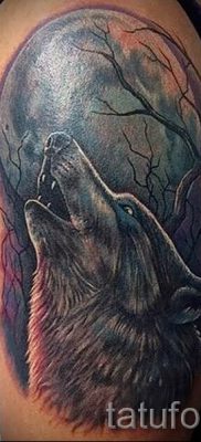 фото тату воющий волк для статьи про значение тату воющий волк — tatufoto.ru — 41