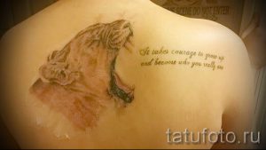 фото тату львица для статьи про значение татуировки львица - tatufoto.ru - 4