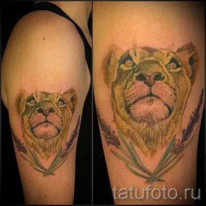 фото тату львица для статьи про значение татуировки львица - tatufoto.ru - 24