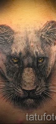 фото тату львица для статьи про значение татуировки львица — tatufoto.ru — 26