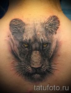 фото тату львица для статьи про значение татуировки львица - tatufoto.ru - 26
