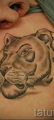 фото тату львица для статьи про значение татуировки львица — tatufoto.ru — 30