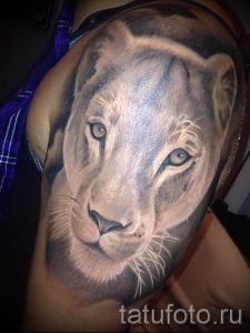 фото тату львица для статьи про значение татуировки львица - tatufoto.ru - 31