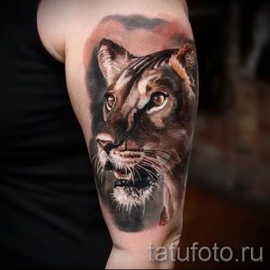 фото тату львица для статьи про значение татуировки львица - tatufoto.ru - 32