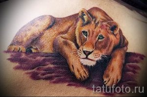 фото тату львица для статьи про значение татуировки львица - tatufoto.ru - 34