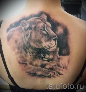 фото тату львица для статьи про значение татуировки львица - tatufoto.ru - 36