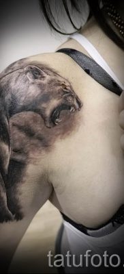 фото тату львица для статьи про значение татуировки львица — tatufoto.ru — 37