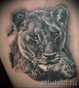 фото тату львица для статьи про значение татуировки львица - tatufoto.ru - 38