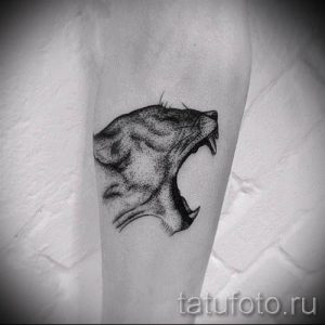 фото тату львица для статьи про значение татуировки львица - tatufoto.ru - 40