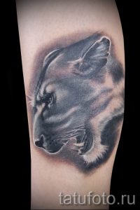 фото тату львица для статьи про значение татуировки львица - tatufoto.ru - 42
