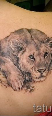 фото тату львица для статьи про значение татуировки львица — tatufoto.ru — 43
