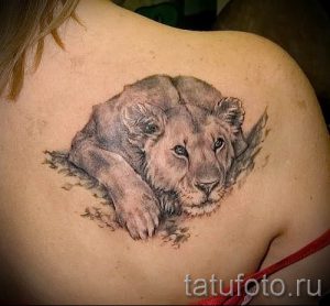 фото тату львица для статьи про значение татуировки львица - tatufoto.ru - 43