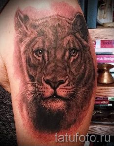 фото тату львица для статьи про значение татуировки львица - tatufoto.ru - 48