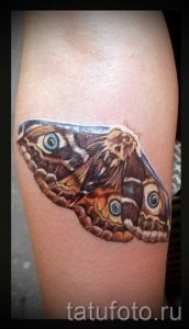 фото тату мотылек для статьи про значение татуировки мотылек - tatufoto.ru - 1