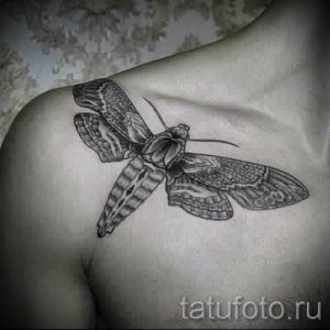 фото тату мотылек для статьи про значение татуировки мотылек - tatufoto.ru - 6
