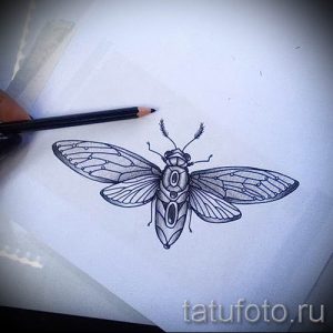 фото тату мотылек для статьи про значение татуировки мотылек - tatufoto.ru - 9