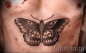 фото тату мотылек для статьи про значение татуировки мотылек - tatufoto.ru - 17