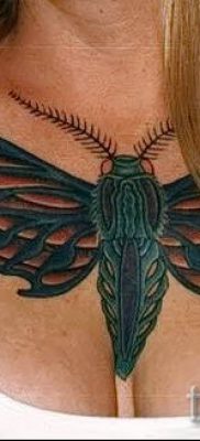 фото тату мотылек для статьи про значение татуировки мотылек — tatufoto.ru — 20