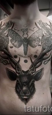 фото тату мотылек для статьи про значение татуировки мотылек — tatufoto.ru — 24