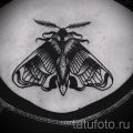 фото тату мотылек для статьи про значение татуировки мотылек - tatufoto.ru - 30