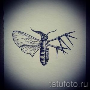 фото тату мотылек для статьи про значение татуировки мотылек - tatufoto.ru - 42