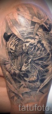 фото тату оскал тигра для статьи про значение татуировки с оскалом — tatufoto.ru — 3