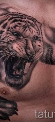 фото тату оскал тигра для статьи про значение татуировки с оскалом — tatufoto.ru — 11