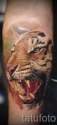 фото тату оскал тигра для статьи про значение татуировки с оскалом — tatufoto.ru — 13
