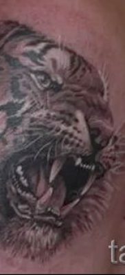 фото тату оскал тигра для статьи про значение татуировки с оскалом — tatufoto.ru — 14