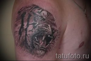 фото тату оскал тигра для статьи про значение татуировки с оскалом - tatufoto.ru - 14