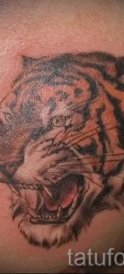 фото тату оскал тигра для статьи про значение татуировки с оскалом — tatufoto.ru — 15