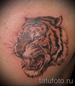 фото тату оскал тигра для статьи про значение татуировки с оскалом - tatufoto.ru - 15