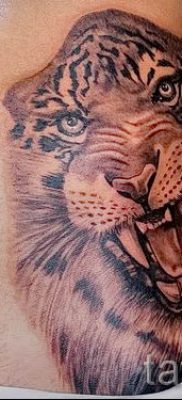 фото тату оскал тигра для статьи про значение татуировки с оскалом — tatufoto.ru — 16