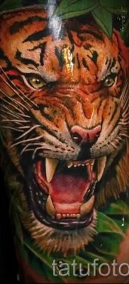 фото тату оскал тигра для статьи про значение татуировки с оскалом — tatufoto.ru — 19