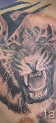 фото тату оскал тигра для статьи про значение татуировки с оскалом — tatufoto.ru — 22