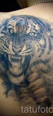 фото тату оскал тигра для статьи про значение татуировки с оскалом — tatufoto.ru — 28