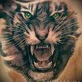 фото тату оскал тигра для статьи про значение татуировки с оскалом - tatufoto.ru - 29