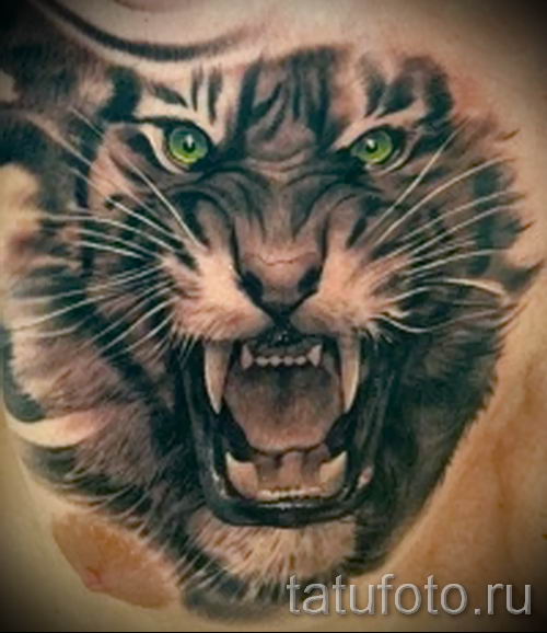 фото тату оскал тигра для статьи про значение татуировки с оскалом - tatufoto.ru - 29