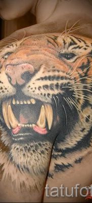 фото тату оскал тигра для статьи про значение татуировки с оскалом — tatufoto.ru — 30