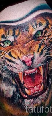 фото тату оскал тигра для статьи про значение татуировки с оскалом — tatufoto.ru — 32