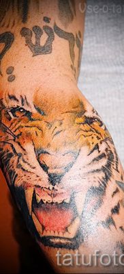 фото тату оскал тигра для статьи про значение татуировки с оскалом — tatufoto.ru — 33