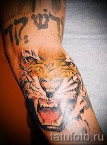 фото тату оскал тигра для статьи про значение татуировки с оскалом - tatufoto.ru - 33